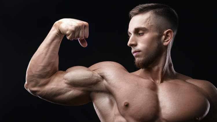 Can I Gain an Inch of Muscle on My Biceps Every Week?