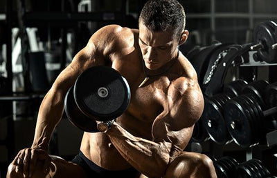 5 Muscle Building Tips for Hardgainers