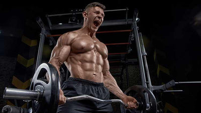 How to Use Hypertrophy Training to Build Muscle Fast