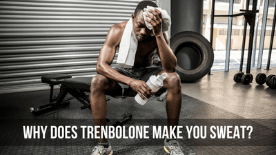 Why Trenbolone Makes You Sweat? Learn The Truth About Tren Sweats