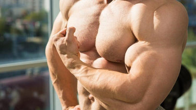 How do anabolic steroids work? [Bonus: Health Risk Guide]