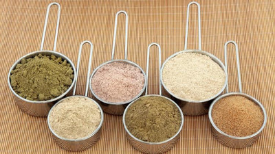 What Is The Best Plant Based Protein Powder?