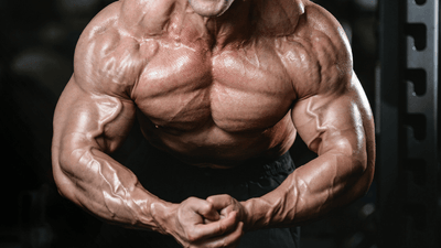Prohormones Vs Steroids: What’s The Difference?