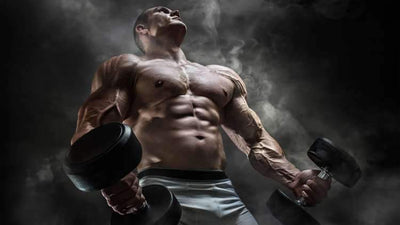 What are SARMs – Legal Status, Bodybuilding Benefits and Side Effects?
