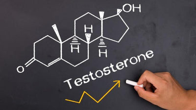 The Best Ways to Increase Testosterone Levels Naturally