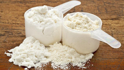 What Is Whey Protein – Difference Between Isolate and Other Types
