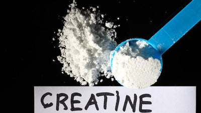 When to Take Creatine to Get the Best Results?