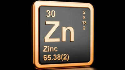 Why You Should Add Zinc to Your Diet to Increase Your Testosterone